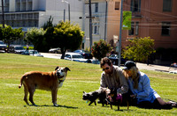 195_AMP_San Francisco_DogPark_1