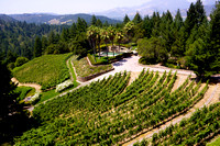 AMP_2012_Vineyards, Restaurants_Napa Valley, CA