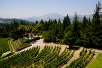 5115_AMP_Teachworth Winery_Napa Valley_CA_2012